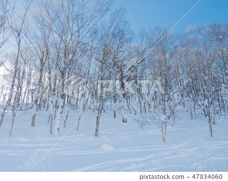 留壽都度假村滑雪場 47834060