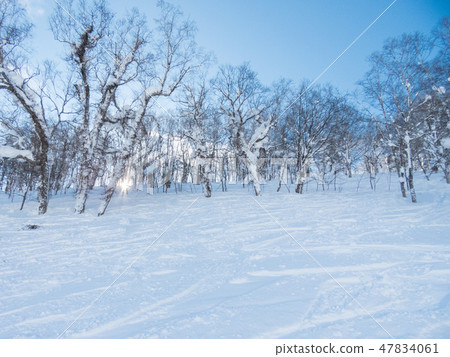 留壽都度假村滑雪場 留壽都度假村滑雪場 47834061
