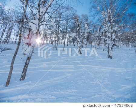 Rusutsu Resort Ski Area 47834062