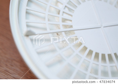 Mold (Dirty Bikin Fungus Cooker Kitchen Kitchen Lid Lid Room Small Object Copy Space Bacteria) 47834074