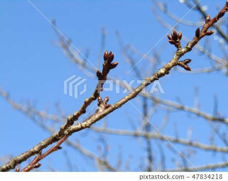 Hard yet tough inage shore station square in front of the river 47834218