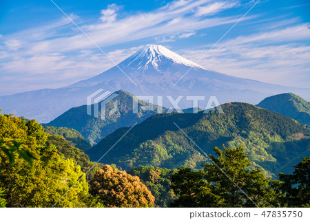 [靜岡縣]從新鮮的綠色葛城到富士山 47835750