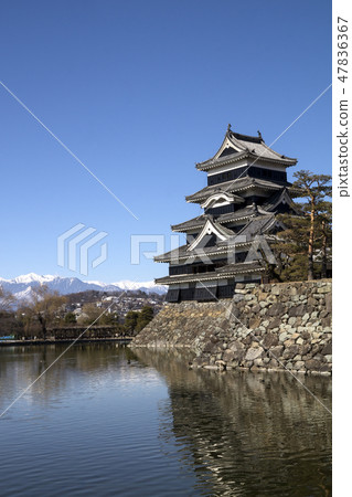信州長野縣松本市冬季國寶松本城和北阿爾卑斯山 信州長野縣松本市冬季國寶松本城和北阿爾卑斯山 47836367