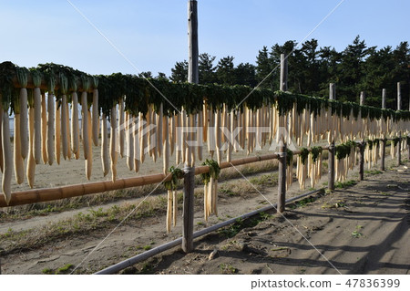 Daikon's heaven sunrise Daikon's heaven sunrise 47836399