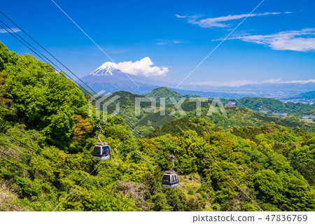[Shizuoka] Ropeway and Mt. Fuji from fresh green Katsuragi 47836769