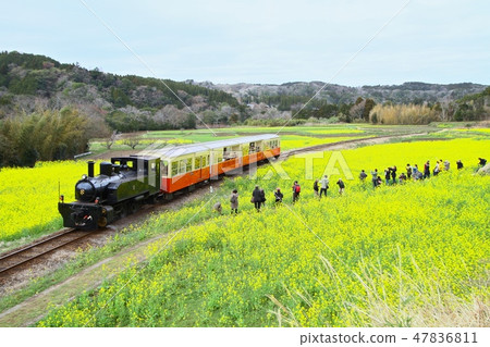 Kominato鐵路Satoyama Trucko Kominato鐵路Satoyama Trucko 47836811