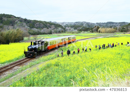 Kominato鐵路Satoyama Trucko 47836813