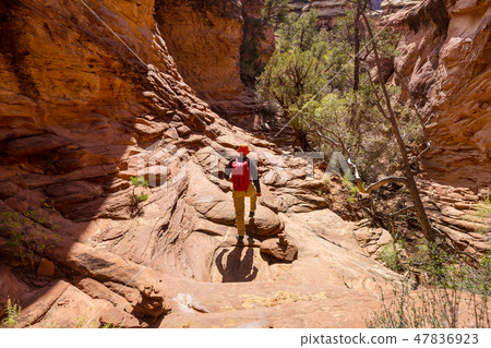 Hike in Utah Hike in Utah 47836923