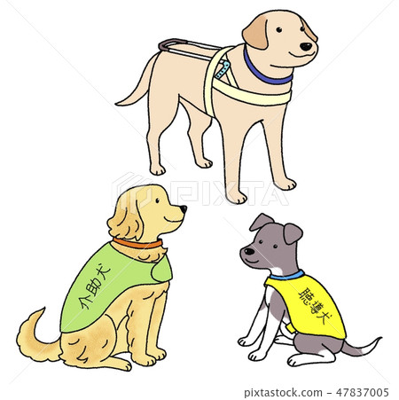 Guided by Japan Universal Manor Manner Association Material Guide dog, assisting dog and hearing dog Guided by Japan Universal Manor Manner Association Material Guide dog, assisting dog and hearing dog 47837005