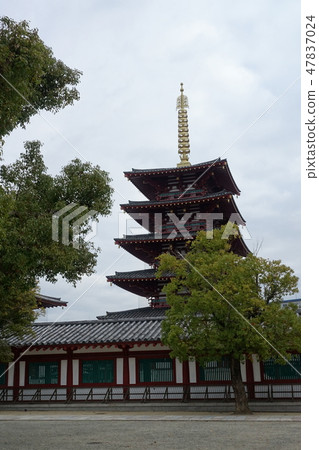 It is the scenery of the five-storied pagoda of the Shitennoji Temple and the corridor in Osaka It is the scenery of the five-storied pagoda of the Shitennoji Temple and the corridor in Osaka 47837024