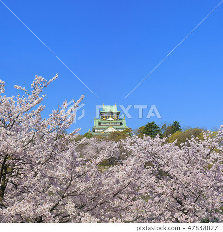 Osaka Castle East side 47838027