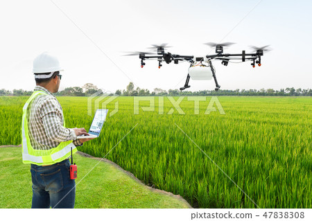 Farmer control agriculture drone on rice fields  47838308