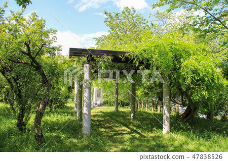 Mifune castle site Shiroyama Park 47838526