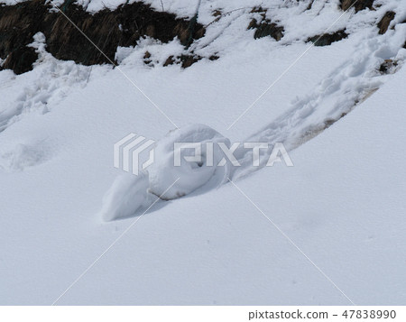 Snow turning Snow turning 47838990