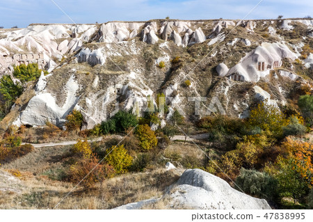 鳩谷景觀 47838995