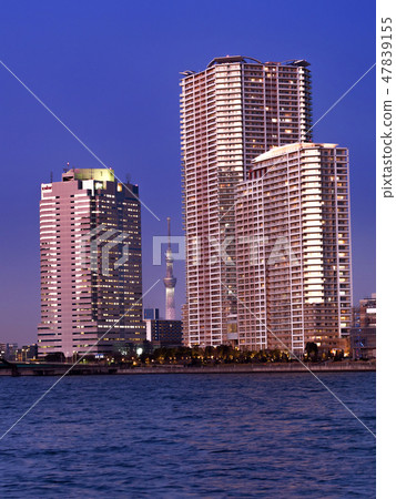 High-rise apartment in Toyosu and Tokyo sky tree High-rise apartment in Toyosu and Tokyo sky tree 47839155