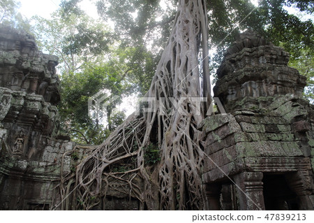  Angkor Thom 47839213