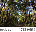 Mountain road 47839693