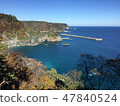 Rias style coast 47840524