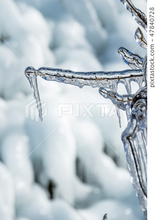 [Ashigakubo icicle] 47840728