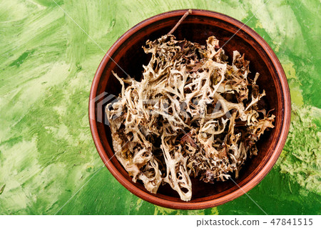 Dried Iceland moss Dried Iceland moss 47841515