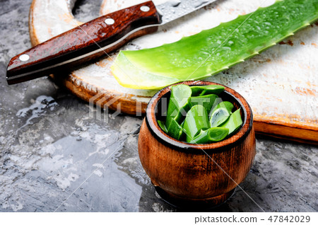 Cut aloe leaf 47842029