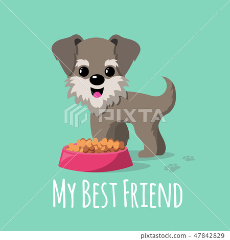 Cartoon dogs vector background Cartoon dogs vector background 47842829