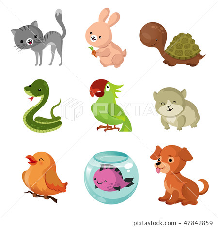 Pets domestic animals vector flat icons Pets domestic animals vector flat icons 47842859