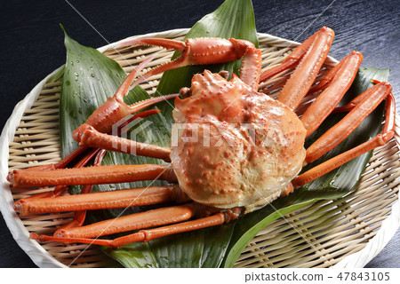 雪蟹 47843105