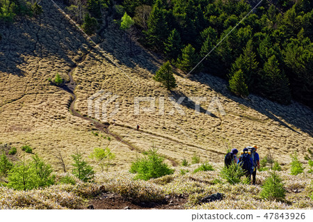 Mountain climbers going near the Great Bodhisatts Ridge / Ishimaru Pass in early summer 47843926