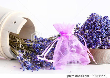 Bunch of lavender flowers on white background Bunch of lavender flowers on white background 47844440