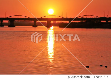 在淀川枚方橋和夕陽在天空的日落:枚方,大阪 在淀川枚方橋和夕陽在天空的日落:枚方,大阪 47844903