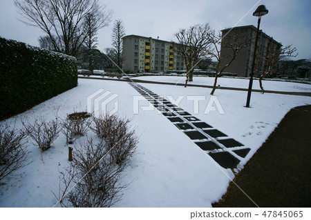 Narashino Bada 47845065