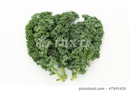 羽衣甘藍 47845430