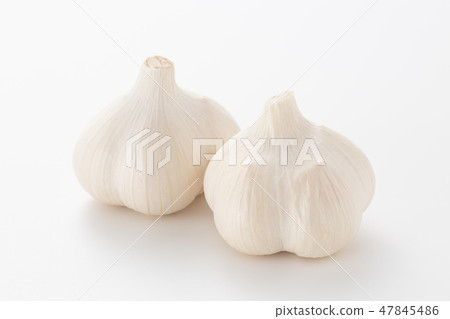 大蒜 大蒜 47845486