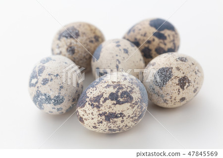 Quail egg Quail egg 47845569