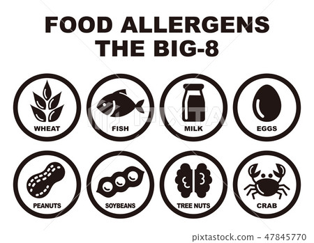 Food allergy inducing substance 8 item Illustration 47845770