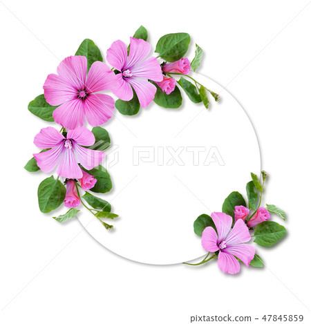 Circle frame with bindweed flowers Circle frame with bindweed flowers 47845859