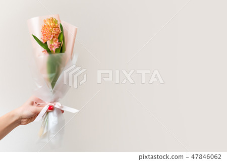 Woman hand with manicure holding spring flowers. Fresh bouquet with hyacinth. Copyspace for text Woman hand with manicure holding spring flowers. Fresh bouquet with hyacinth. Copyspace for text 47846062