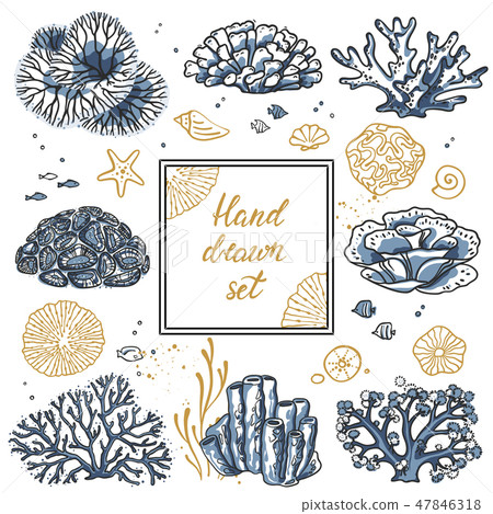 Vector flyer with corals around the text and wavy lines for design. Deep sea background. Vector flyer with corals around the text and wavy lines for design. Deep sea background. 47846318