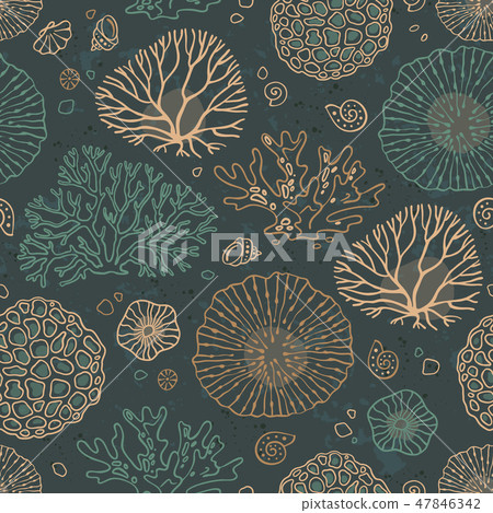 Seamless pattern vector with corals 47846342