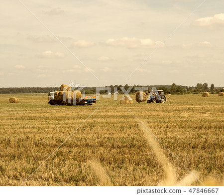 Farmer on a tractor picks haystack and loads bale of hay into the trailer, agriculture 47846667