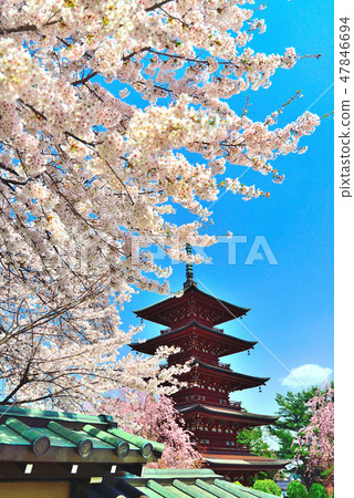 櫻花(最高成就) 櫻花(最高成就) 47846694