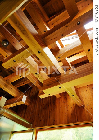 A room with a view 47846853