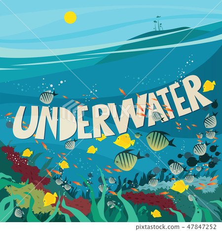 Underwater world with coral reef 47847252