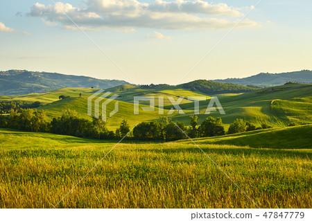 Tuscany hills Tuscany hills 47847779