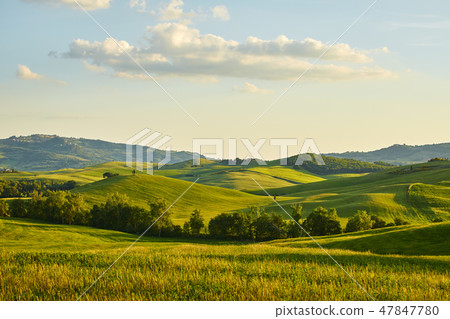 Tuscany hills Tuscany hills 47847780