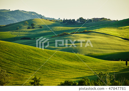 Tuscany hills Tuscany hills 47847781