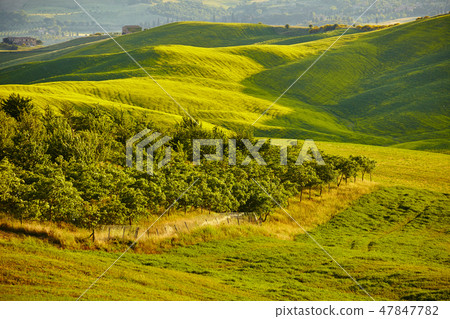 Tuscany hills Tuscany hills 47847782