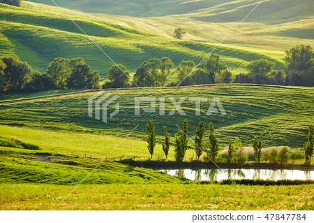 Tuscany hills 47847784